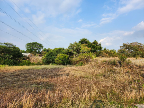 Alajuela, ,Terreno,Venta,1640